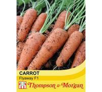 Thompson & Morgan Carrot Flyaway F1 Hybrid 1 Seed Packet (400 Seeds)