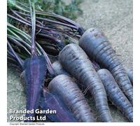 Thompson & Morgan Carrot Purple Sun 1 Packet (250 Seeds)