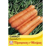 Thompson & Morgan Carrot Resistafly F1 Hybrid 1 Seed Packet (350 Seeds)