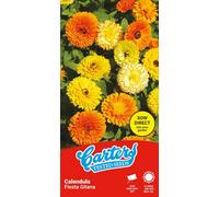 Thompson & Morgan Carters Calendula Fiesta Gitana Mixed Seeds Hardy Annual Marigold Bedding Flower Easy Grow Summer 75 Seeds