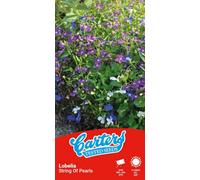 Thompson & Morgan Carters Lobelia String Of Pearls Flower Seeds Half Hardy Annual Mixed Colours Bedding Seeds For Tubs