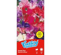 Thompson & Morgan Carters Runner Bean Scarlet Emperor Seeds Climbing Vegetable Beans, High Yield, Easy To Grow, Red Flowers, Edible Pods
