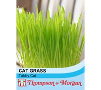 Thompson & Morgan Cat Grass Tabby (Hordeum Vulgarie Varigated) 1 Seed Packet (100 Seeds)