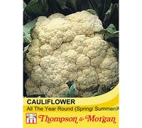 Thompson & Morgan Cauliflower All The Year Round 1 Seed Packet (150 Seeds)