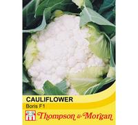 Thompson & Morgan Cauliflower Boris F1 Hybrid 1 Seed Packet (15 Seeds), White
