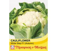 Thompson & Morgan Cauliflower White Step F1 Hybrid 1 Seed Packet (30 Seeds)