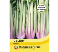 Thompson & Morgan Celery Self-Blanching Blush 1 Seed Packet (200 Seeds)