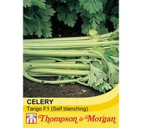 Thompson & Morgan Celery Tango F1 Hybrid 1 Seed Packet (75 Seeds)