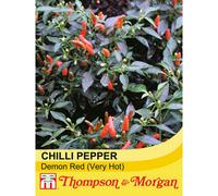 Thompson & Morgan Chilli Pepper Demon Red (Very Hot) 1 Seed Packet (8 Seeds)