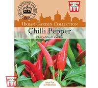 Thompson & Morgan Chilli Pepper Krakatoa F1 Hybrid 1 Seed Packet (5 Seeds)