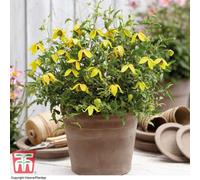 Container Flower Tower Pot Modern Grey Plant Pot Design with Flower Pot, Saucer and Frame Perfect for Climbing Plants, 5 x Tower Pot in Modern Grey