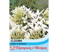 Thompson & Morgan Cleome Hassleriana Helen Campbell 1 Seed Packet, White