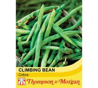 Thompson & Morgan Climbing Bean Cobra 1 Seed Packet (40 Seeds)
