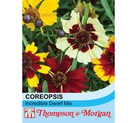 Thompson & Morgan Coreopsis Incredible Dwarf Mix 1 Packet (100 Seeds), Multi