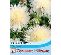 Thompson & Morgan Cornflower The Bride 1 Seed Packet (50 Seeds), White