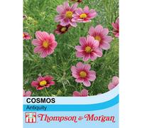 Thompson & Morgan Cosmos Antiquity 1 Seed Packet (30 Seeds)