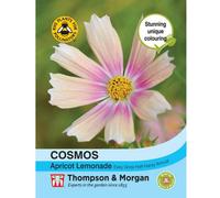 Thompson & Morgan Cosmos bipinnatus Apricot Lemonade 1 Seed Packet (40 Seeds), Pink