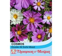 Thompson & Morgan Cosmos Double All Sorts Mixed 1 Seed Packet (75 Seeds)