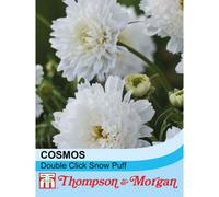 Thompson & Morgan Cosmos Double Click Snow Puff 1 Seed Packet (50 Seeds)