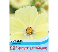 Thompson & Morgan Cosmos Lemonade 1 Seed Packet (30 Seeds)