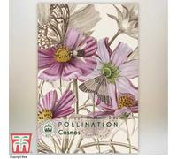 Thompson & Morgan Cosmos Promo New Kew Range 1 Packet (200 Seeds)