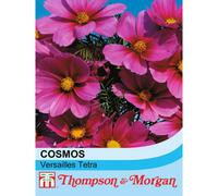 Thompson & Morgan Cosmos Versailles Tetra 1 Seed Packet (60 Seeds)