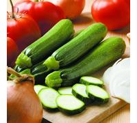Thompson & Morgan Courgette Defender F1 Hybrid Seeds - Rhs Agm Early High Yield Virus Resistant Customer Favourite. 2 Packs (24 Seeds)