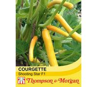 Thompson & Morgan Courgette Shooting Star F1 Hybrid 1 Seed Packet (8 Seeds)