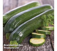 Thompson & Morgan Courgette (Zucchini) 1 Packet (25 Seeds)
