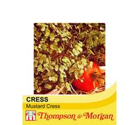 Thompson & Morgan Cress Seeds - Mustard 1 Packet (800 Seeds)