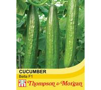 Thompson & Morgan Cucumber Bella F1 Hybrid 1 Seed Packet (4 Seeds)