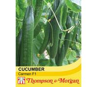Thompson & Morgan Cucumber Carmen F1 Hybrid 1 Seed Packet (4 Seeds)