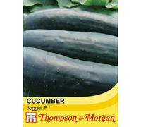 Thompson & Morgan Cucumber Jogger F1 Hybrid 1 Seed Packet (10 Seeds)