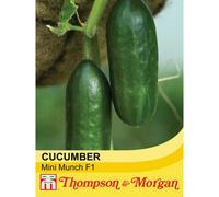 Thompson & Morgan Cucumber Mini Munch F1 Hybrid 1 Seed Packet