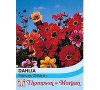Thompson & Morgan Dahlia Bishops Children 1 Seed Packet (50 Seeds)
