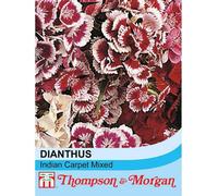 Thompson & Morgan Dianthus Indian Carpet Mixed 1 Seed Packet (400 Seeds), Red