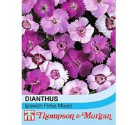 Thompson & Morgan Dianthus Plumarius Ipswich Pinks Mixed 1 Seed Packet (75 Seeds), Purple