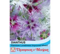 Thompson & Morgan Dianthus Rainbow Loveliness Improved Mix 1 Packet (30 Seeds)
