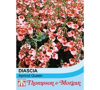 Thompson & Morgan Diascia Apricot Queen 1 Seed Packet (80 Seeds), Pink