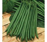 Thompson & Morgan Dwarf Bean Boston 1 Seed Packet (100 Seeds)