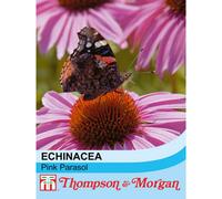 Thompson & Morgan Echinacea Purpurea Pink Parasol 1 Seed Packet (35 Seeds)