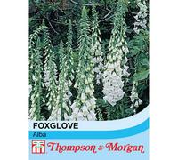 Thompson & Morgan Foxglove Alba 1 Seed Packet (150 Seeds), White