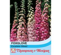 Thompson & Morgan Foxglove Excelsior Hybrids Mixed 1 Packet (2500 Seeds)