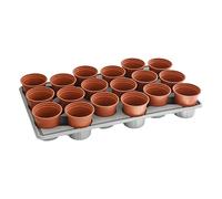 Thompson & Morgan Garden Durable Shuttle Trays 18 Pots per Tray: Simplify Plant Transport, Reusable for Seedlings and Plug Growth 18 Pots 1 Tray (19)