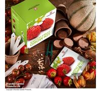 Thompson & Morgan Gift Seed Grow Kit Exotic Fruit