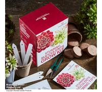 Thompson & Morgan Gift Seed Grow Kit Stunning Succulents