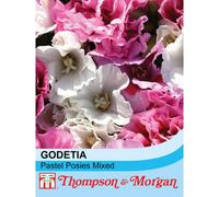 Thompson & Morgan Godetia Pastel Posies Mixed 1 Seed Packet (125 Seeds)