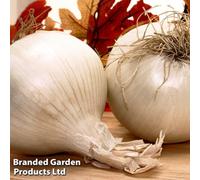 Thompson & Morgan Grow Your Own Vegetables - Onion (Autumn) Snowball Prepacked 250G