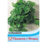 Thompson & Morgan Herb Coriander 1 Seed Packet (50 Seeds)