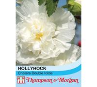 Thompson & Morgan Hollyhock Chaters Double Icicle 1 Seed Packet (100 Seeds), White